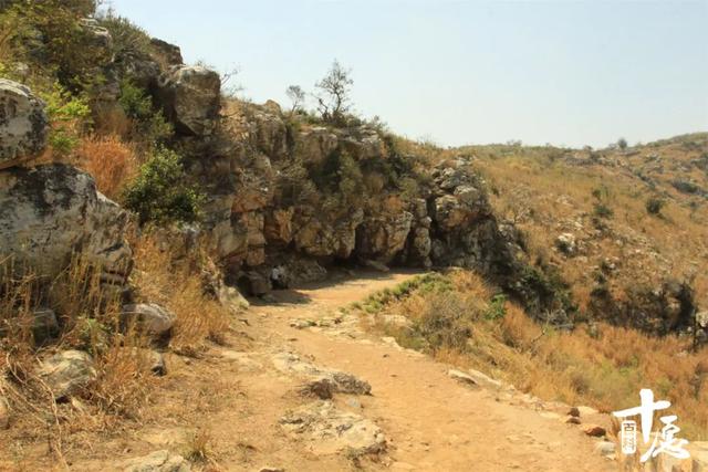 说尽佛陀与树的不解之缘，五分钟带你了解佛陀一生