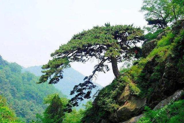 十八盘多少个台阶，泰山十八盘为什么是十八