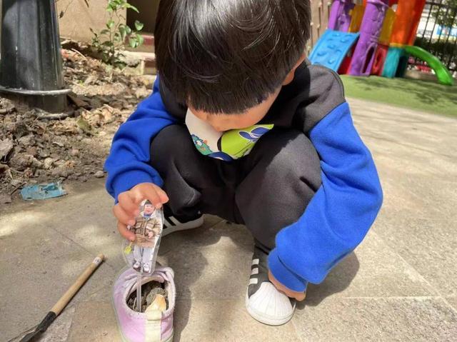 幼儿园自然角在线研讨，小小自然角春意盎然中