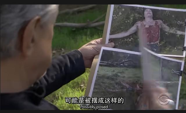 美剧犯罪心理最新季，12月初最新上线的6部黄暴美剧