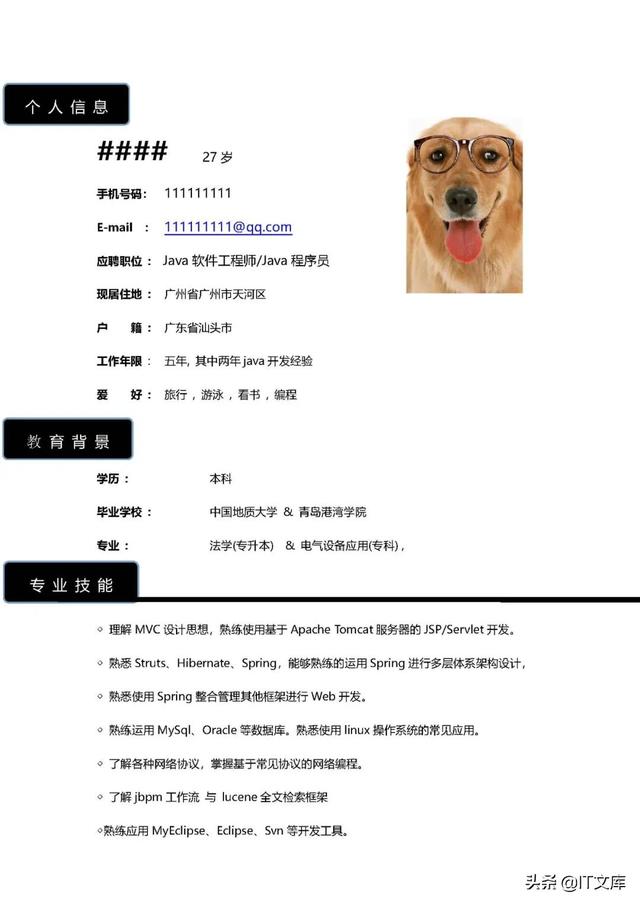 pdf简历模板，工作简历模板电子版pdf