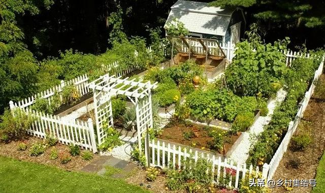 菜园与花园的设计，成就田园生活的食材花园