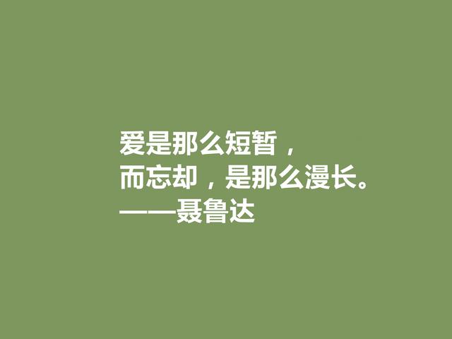 聂鲁达的情诗在这群星闪耀的夜，聂鲁达这十句诗