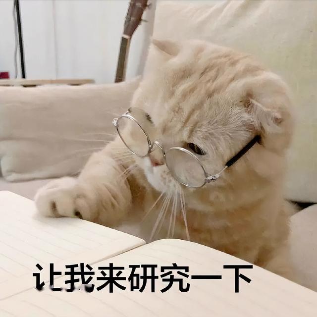 红富士苹果产地在哪里，第一个敢向我国大量出口红富士苹果的国家（红富士苹果是哪里引进的）