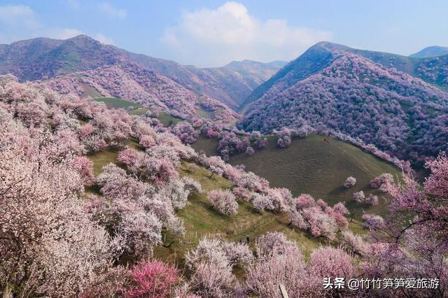 春天去哪里旅游，春天到什么地方旅游最好（推荐世界上最适合春季旅行的十个地方）