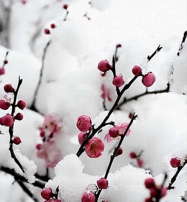 西南官话中的花垣方言，西南多数地区方言都可以分辨