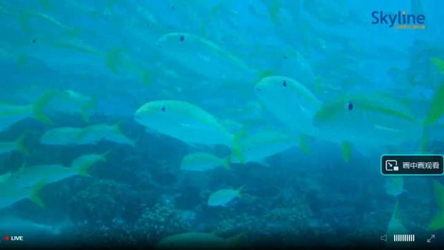 有什么好玩的网站，6个有趣又好玩的网站