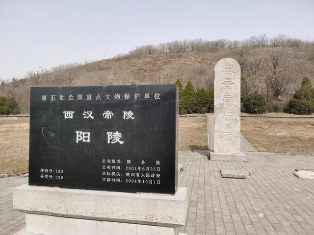西安周边一日游，西安周边一日游自驾景区（西安旅游这一次做对了什么）