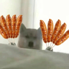 可爱小狗表情包，可爱表情包大全狗子