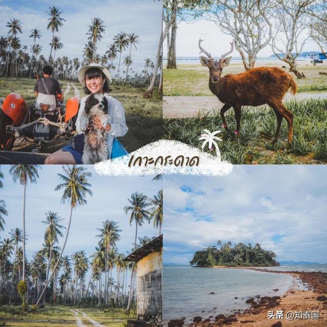 泰国什么岛最出名，泰国最旺的八个岛屿