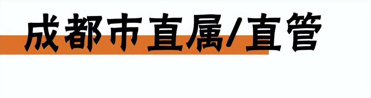 成都有哪些好学校，成都有哪些排名前10的学校（四七九、嘉成实全都上榜）