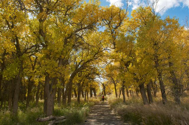 酒泉卫星基地地图，酒泉卫星发射中心地图