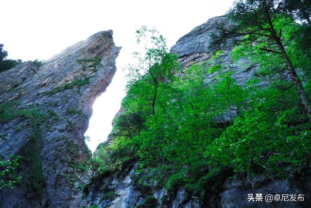 大峪沟旅游风景区介绍，最能治愈人心的便是这世间的绝美风景
