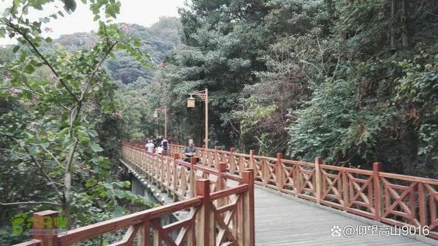 肥胖山