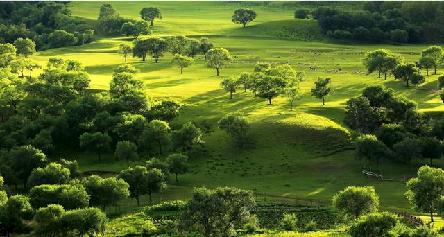 surface联机服务中心，微软surface联机服务中心（微软SurfaceLaptopGo）