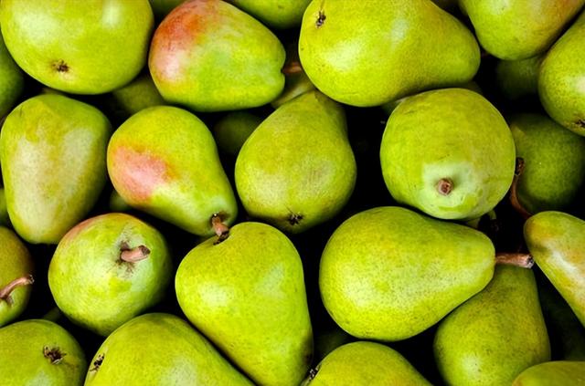 母梨和公梨的区别，是公梨好吃还是母梨好吃