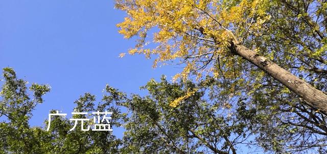 四川广元是个怎样的城市，现在的四川广元城市