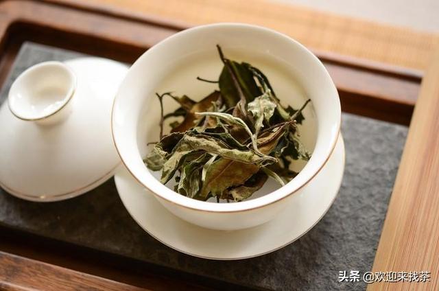 各种紫砂壶适合泡什么茶，紫砂壶适合泡什么茶