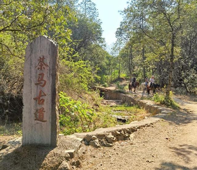 云南丽江旅游攻略详细介绍，云南丽江旅游自由行实用攻略