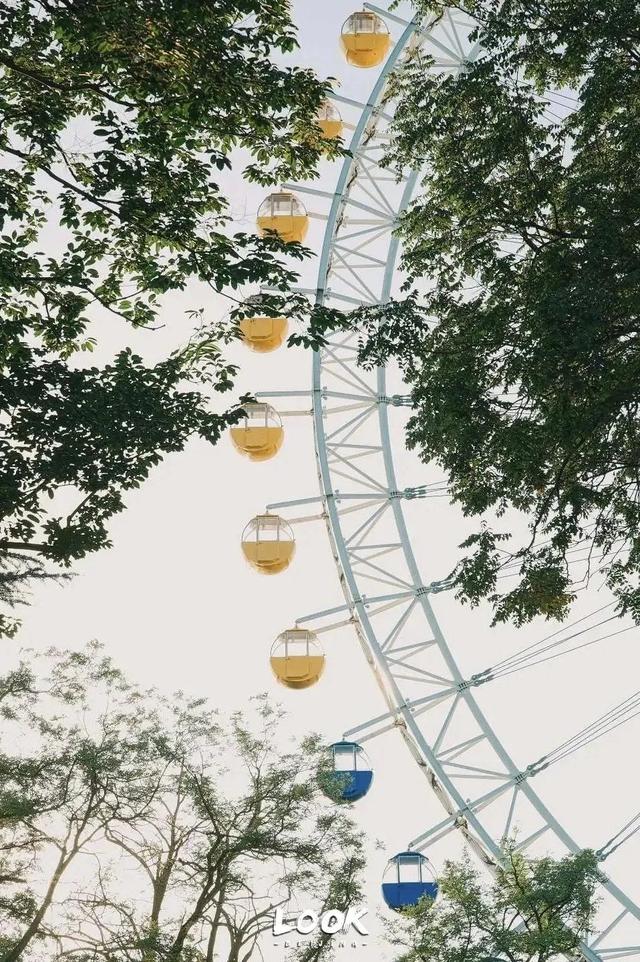 北京周末好去处市区，周末打卡好去处-白塔寺