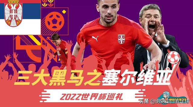 今天世界杯赛程，世界杯解析塞尔维亚
