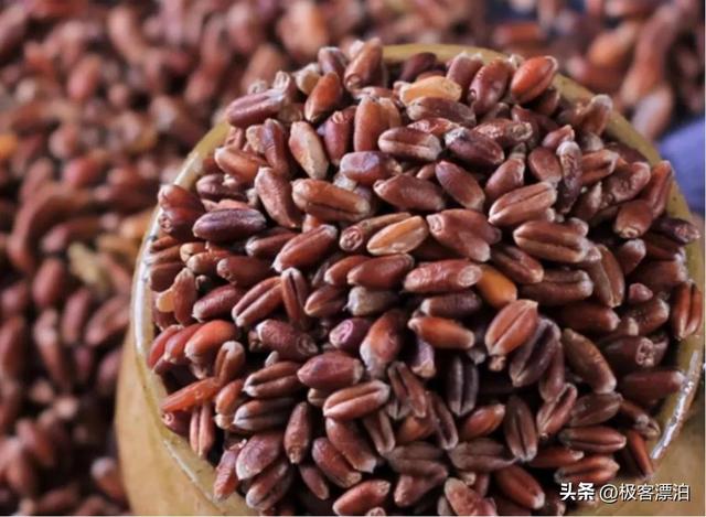 悲情才俊袁宝璟，悲情才俊袁宝璟是谁