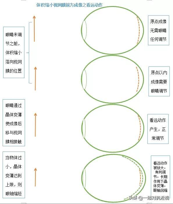 眼睛的成像原理示意图，眼睛所有成像过程一览