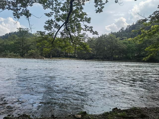 贵州铜仁梵净山，贵州铜仁梵净山风景区攻略（贵州省铜仁市梵净山风景区）