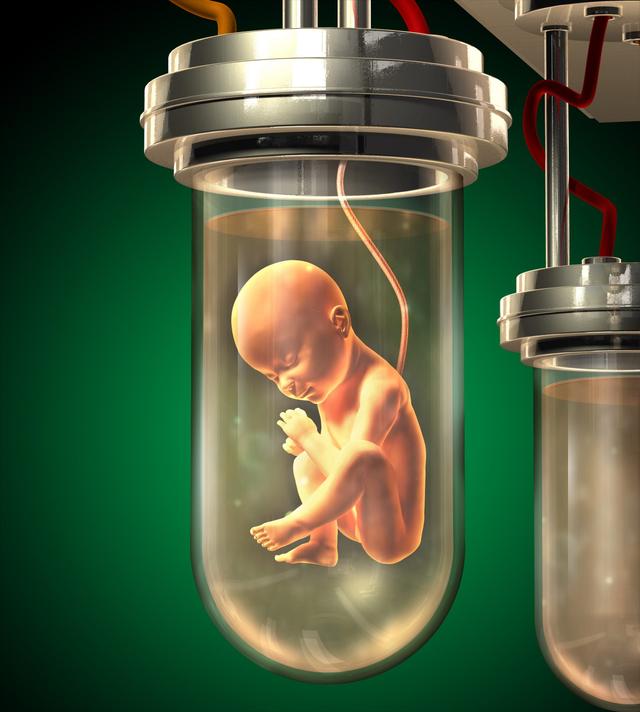 人造子宫几个月可以生孩子，十万八万的也能生个孩子