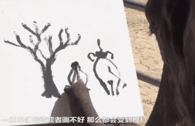 柬埔寨血奴事件，柬埔寨血奴事件发生原因（90后福建女子柬埔寨遭性侵殴打）