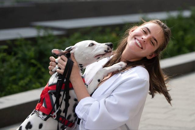 狗狗舔你代表什么，狗狗老是舔你表示什么