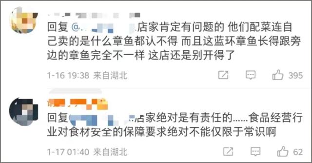 蓝环章鱼居然出现在火锅店，火锅店惊现剧毒蓝环章鱼