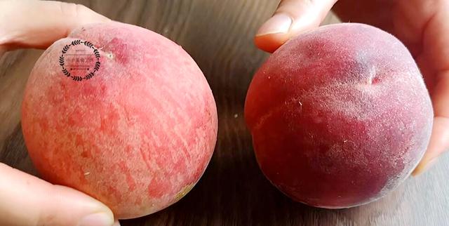 脆桃是没有成熟的桃子么，靖州：脆桃已成熟 等你来采摘