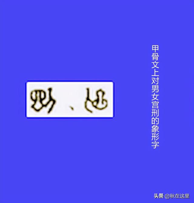 古代的宦官就是太监吗，汉、唐、明三朝太监有何不同