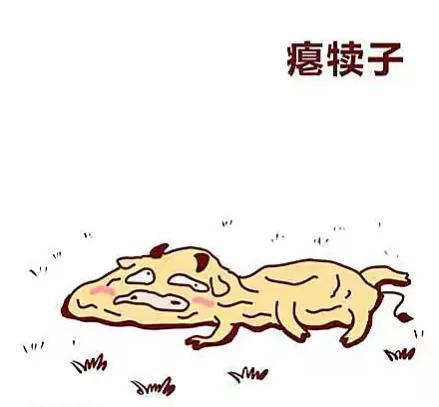 东北方言土话段子，东北方言八大犊子