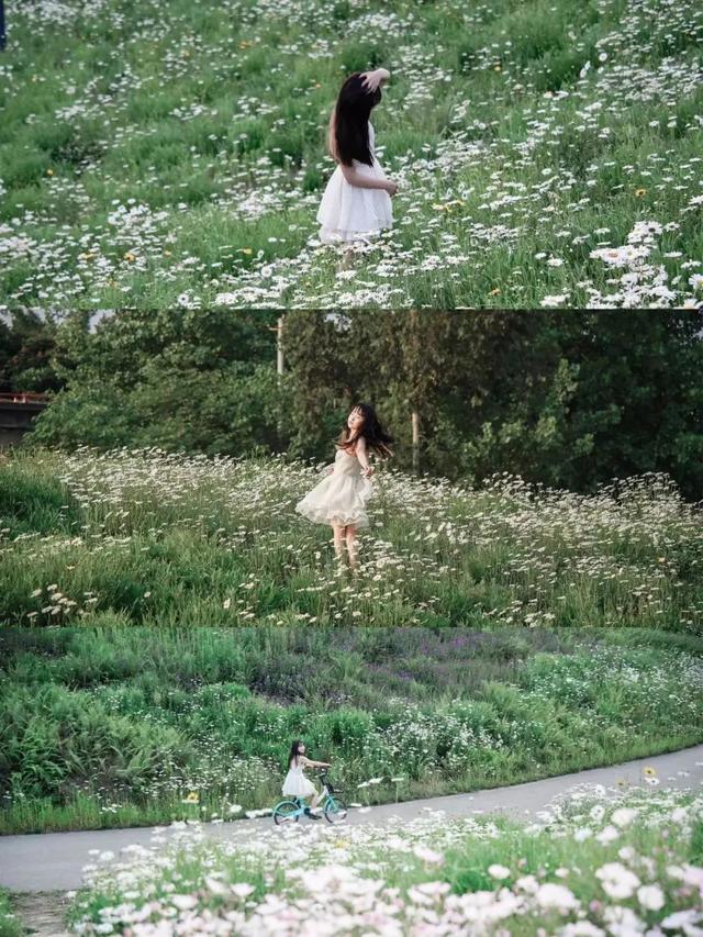 9月成都周边最适合露营，不出成都市区打卡9大露营野餐拍照地