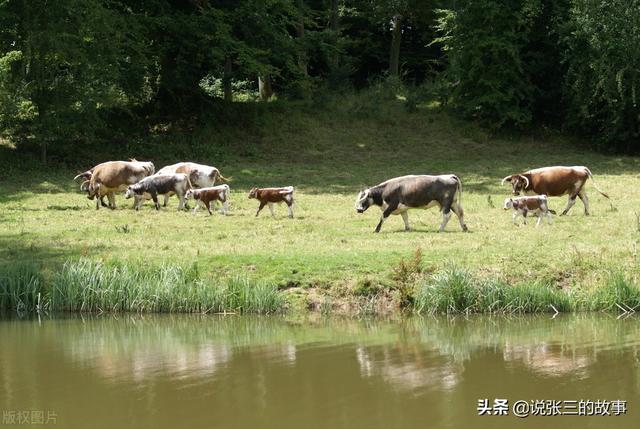 阿拉伯人真实历史，公元8世纪的阿拉伯人战无不胜