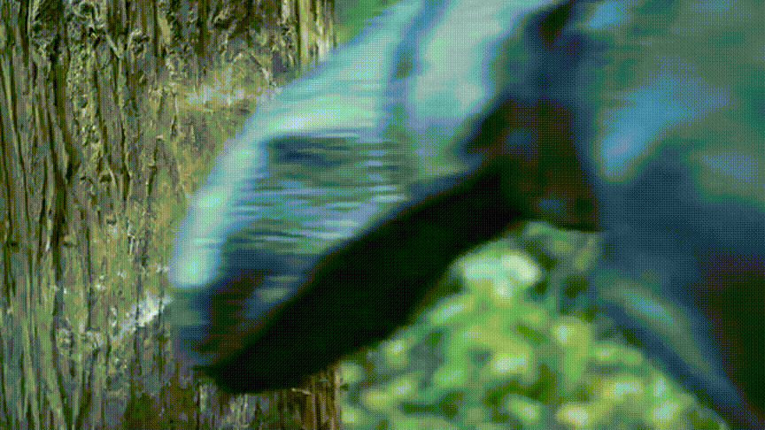 开心麻花最新电影，开心麻花的喜剧电影推荐几部