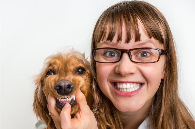 关于狗狗的习惯和特点，关于狗狗的这四个习性