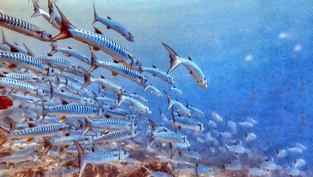 幸福指数国家排名，幸福指数排名前十的国家有哪一些（中国人幸福感全球最高）