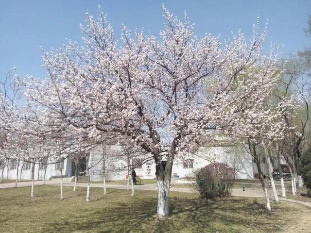 沈阳师范大学官网，沈阳师范大学官网入口