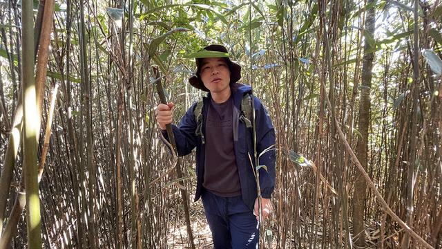 广州徒步登山经典路线，​黄埔秘境在这里