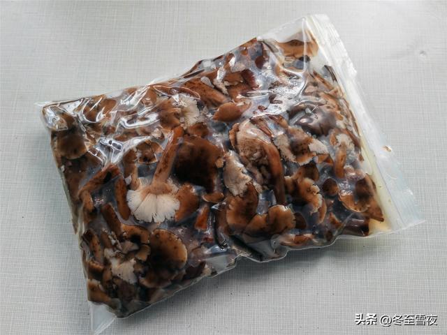 五种美味的野生蘑菇，这第1种被称为菌中之王