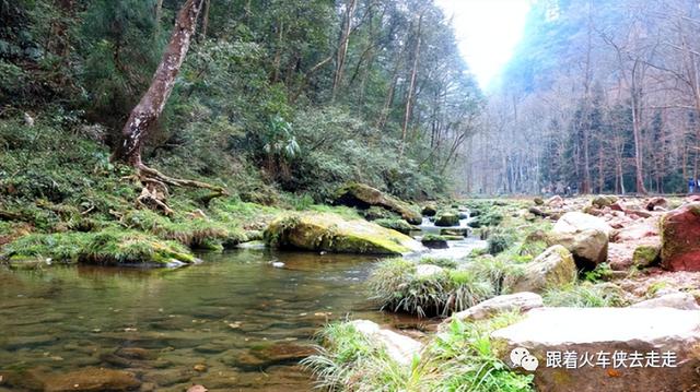 到张家界三日游，魅力湘西张家界三日游