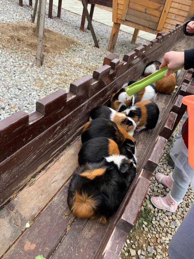南京冬天哪里好玩，冬季南京遛娃必去景点