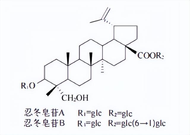 萜类的作用及功能，植物功效成分-三萜及其苷类