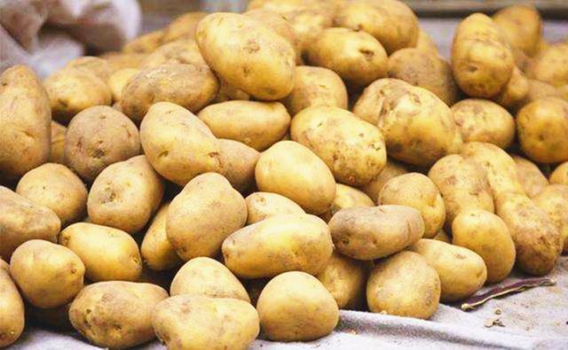 储存土豆最有效的方法，土豆不发芽不变质