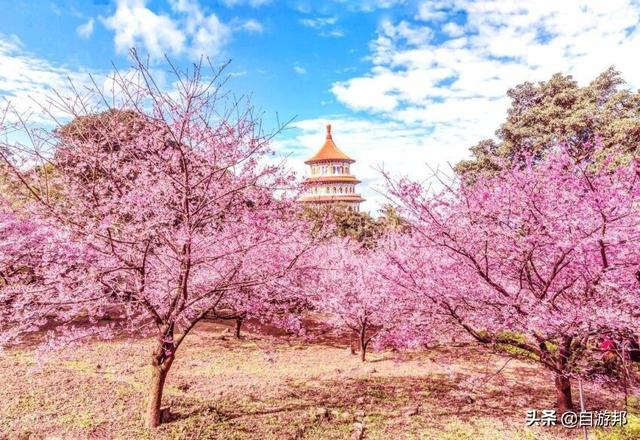 日本赏樱花著名景点，这些赏樱地等你打卡