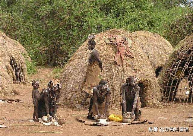 朊病毒到底是一种什么东西，千万别吃同类的肉