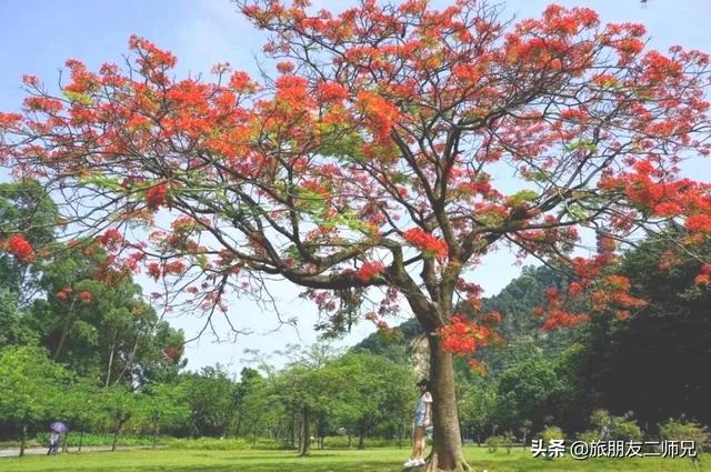 广州南沙区游玩攻略，广州南沙1天游漫步海滨碧道